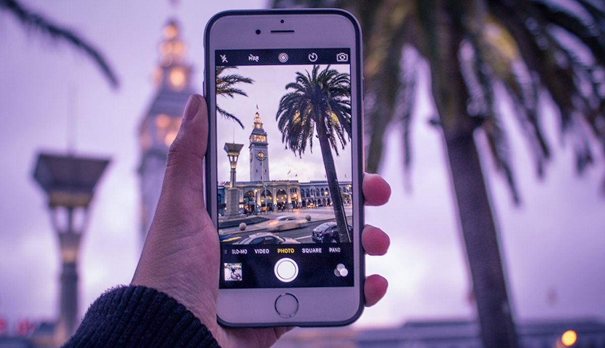 A person is taking a picture of a palm tree in front of a clock tower.