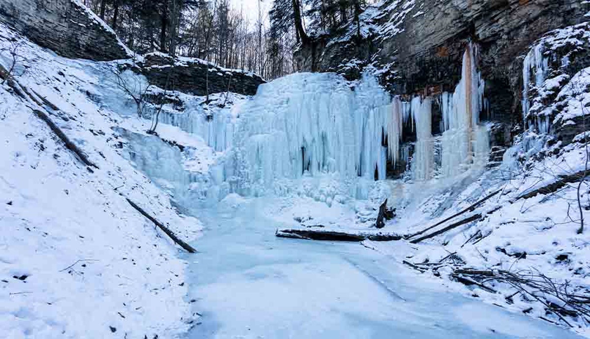 A frozen waterfall in the middle of a wooded area.