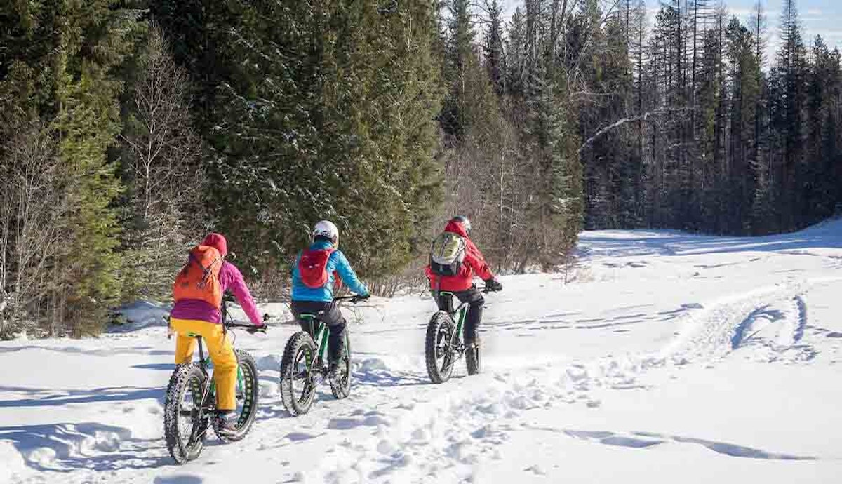 Three people riding snow bikes on a snowy trail.
