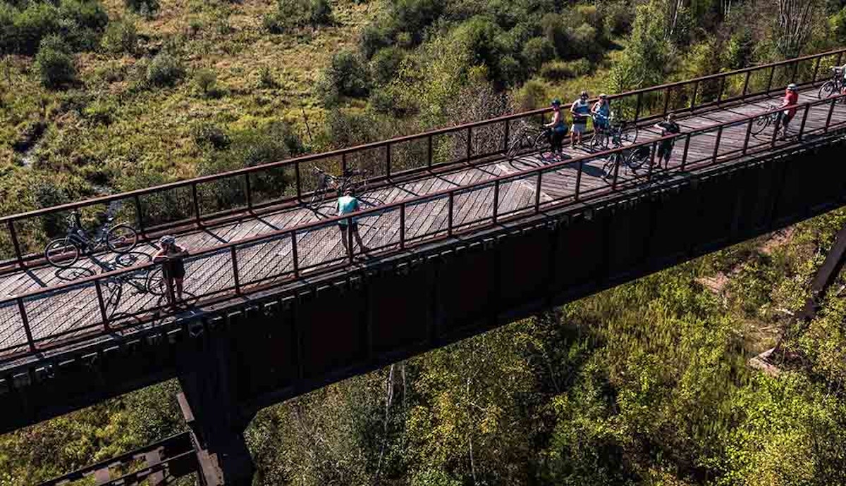 A group of people riding bikes on a bridge over a wooded area.
