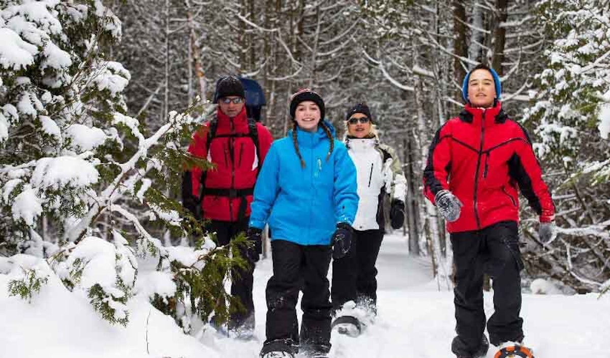 A group of people walking through a snowy forest.