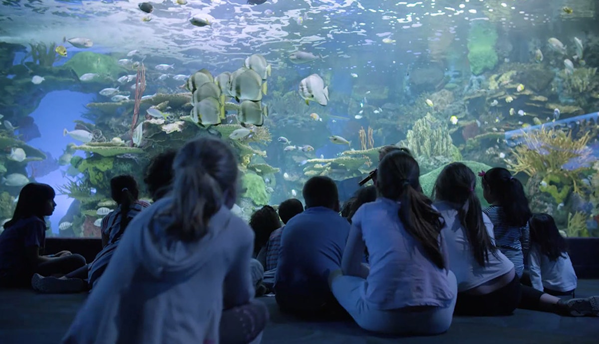 A group of people sitting in front of an aquarium.