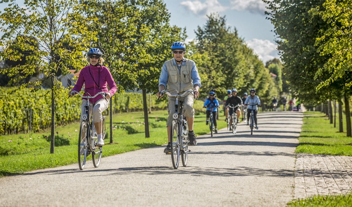 A group of people riding bicycles down a path.