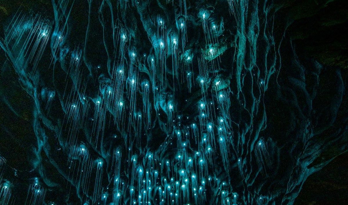 A cave filled with blue glowing stalactites and stalagmites.