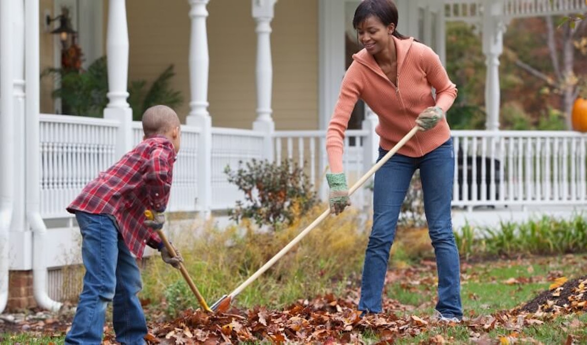 A woman and her son are raking leaves in the yard.