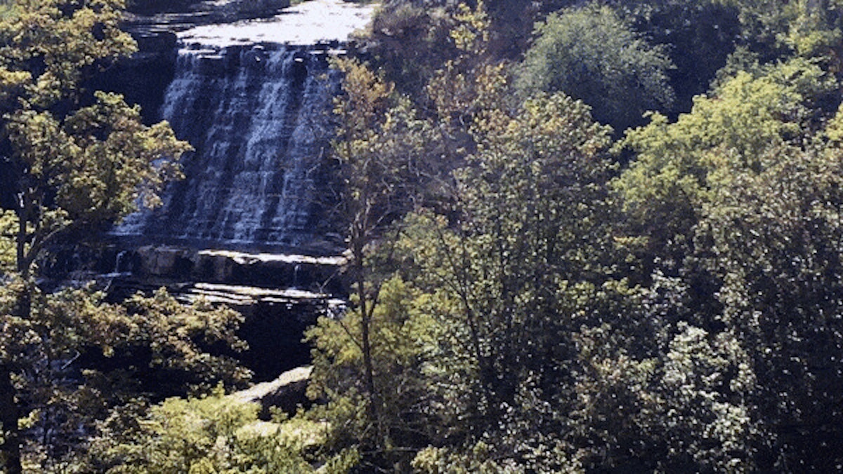 A waterfall in the middle of a forest surrounded by trees.