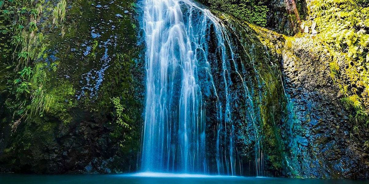 A serene waterfall cascading into a tranquil blue pool surrounded by lush vegetation.