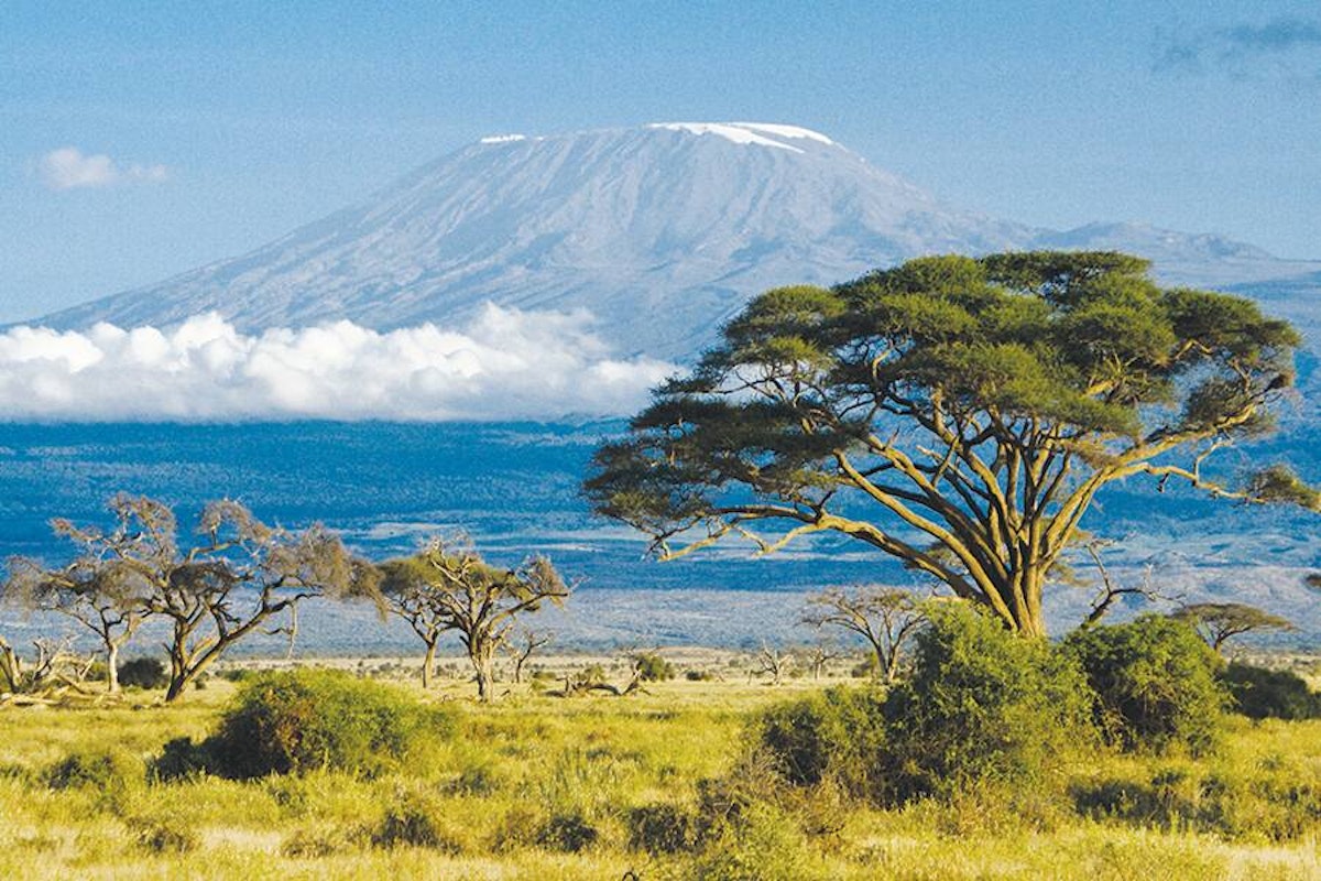 Mt kilimanjaro in tanzania.
