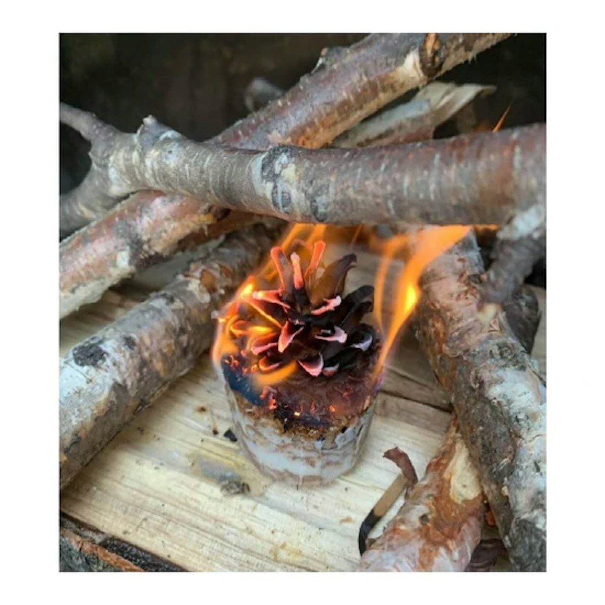 A pine cone burning on fire.