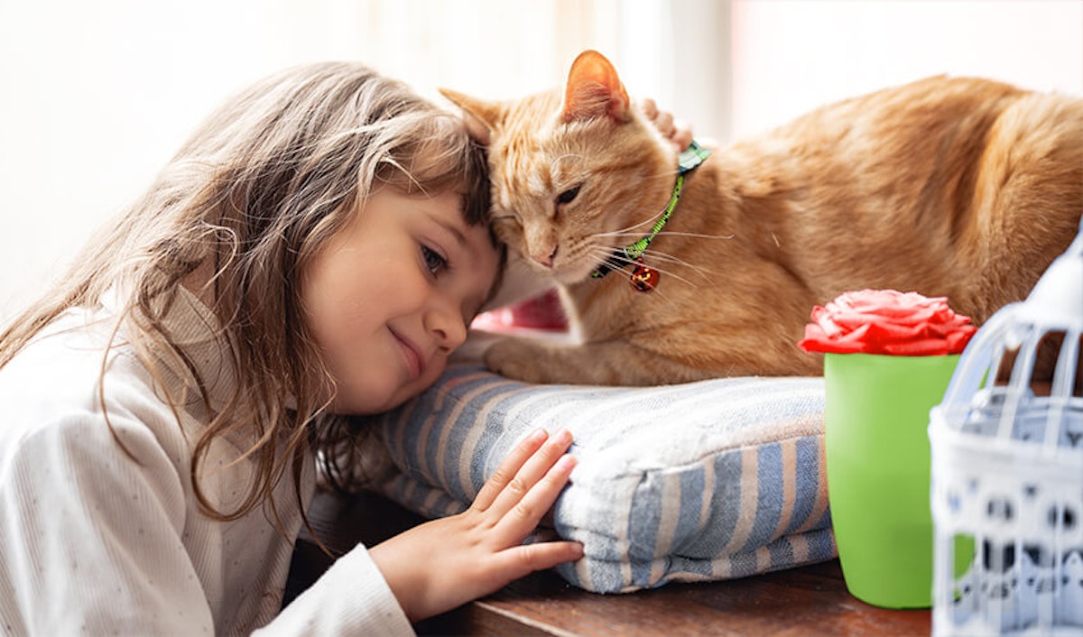 A little girl is petting an orange cat.