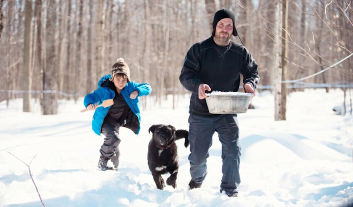 A man and a dog walking through the snow with a bucket.