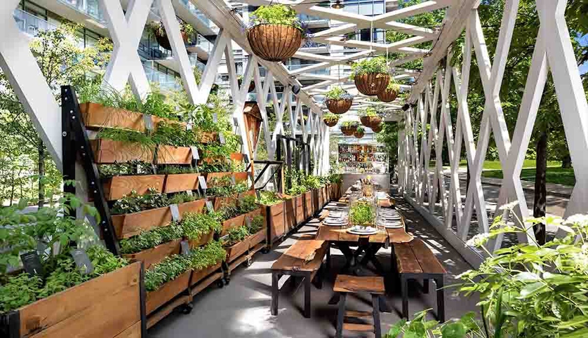 An outdoor dining area with plants hanging from the ceiling.