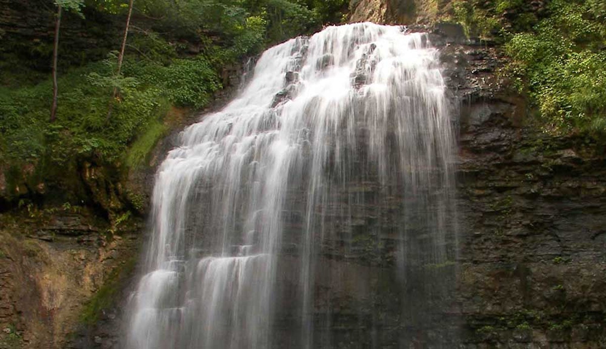 A waterfall in the middle of a lush green forest.