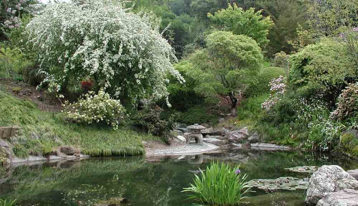 A pond in a garden with trees and flowers.