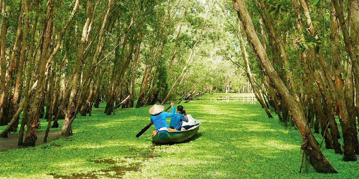 A boat gliding through a serene, flooded forest with lush greenery.