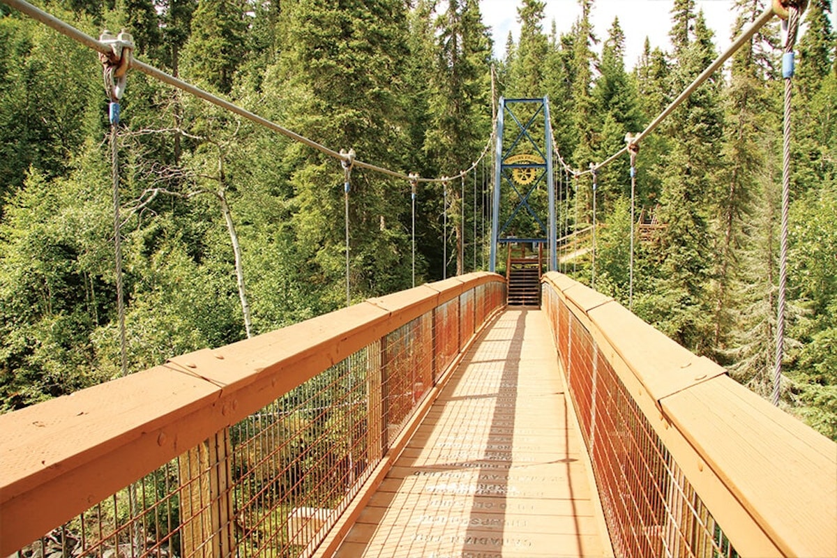 A suspension bridge over a wooded area.