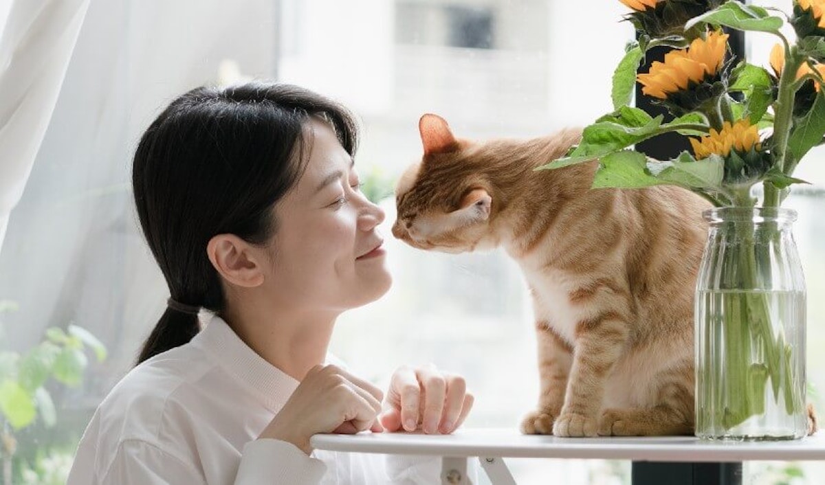 A woman kissing a cat in front of a window.