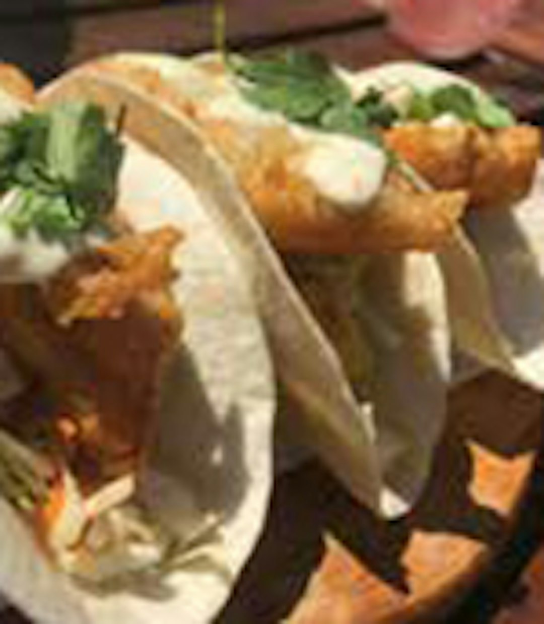 Fish tacos with a creamy sauce and fresh cilantro on top.