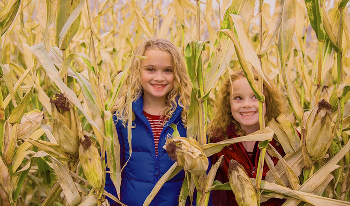 Two girls standing in a corn field.