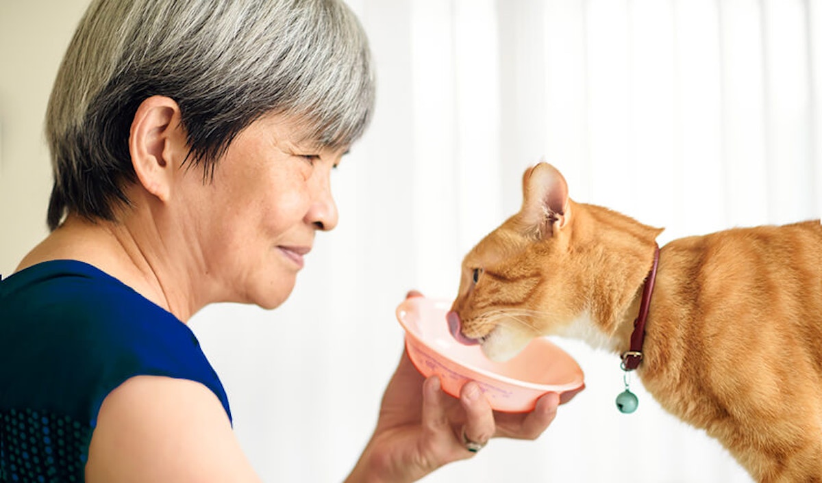 A woman feeding a cat from a bowl.
