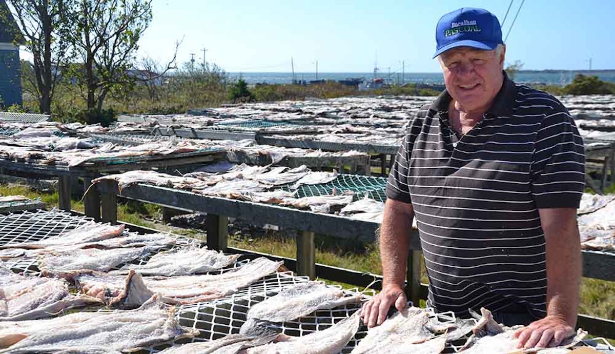 A man standing in front of a pile of dead fish.