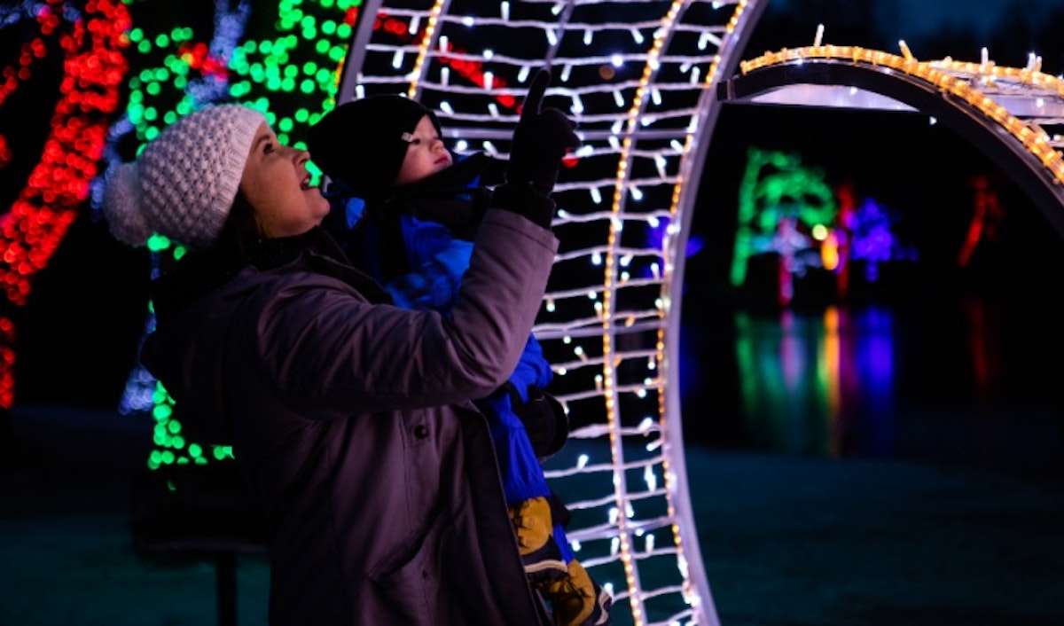 A woman and a child looking at lights in a garden.