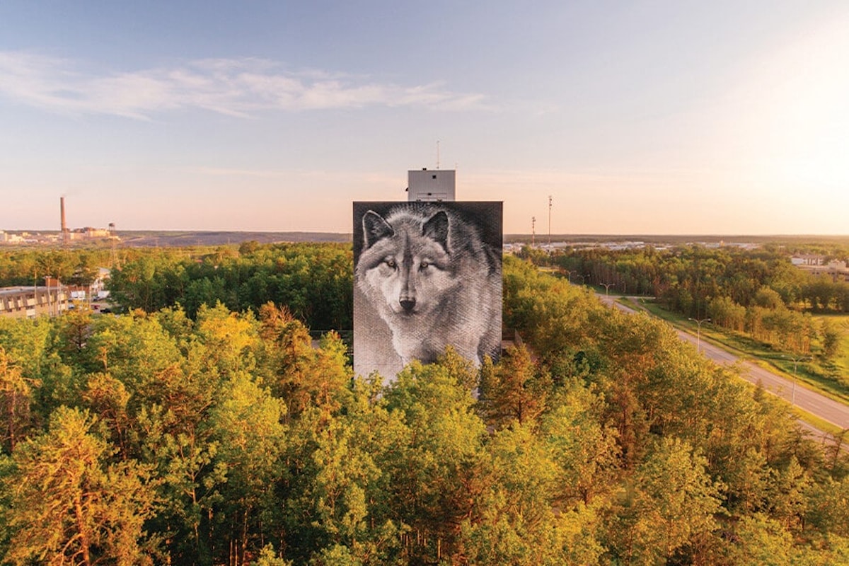 A large mural of a wolf in a forest.