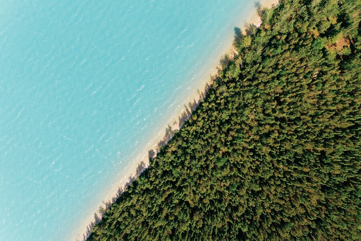 A aerial view of a beach with trees and water.