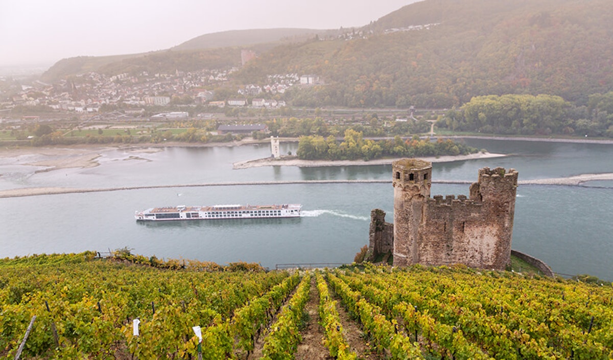 A cruise ship sailing on a river past the ruins of an ancient castle, with vineyards in the foreground and a foggy landscape.