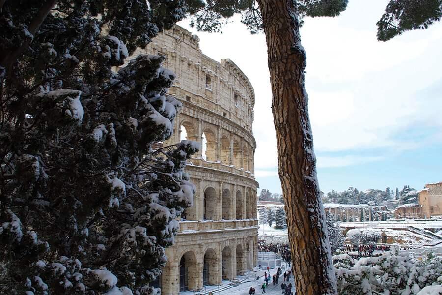 A snow covered tree next to a building.
