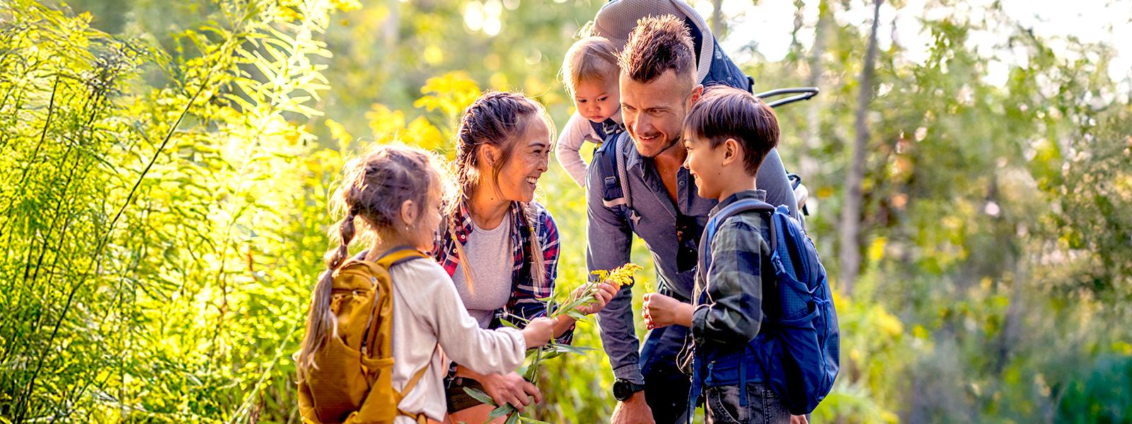 A family of five hiking through a green forest.