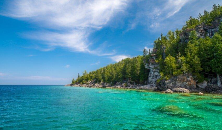 A rocky shore with clear blue water and trees.