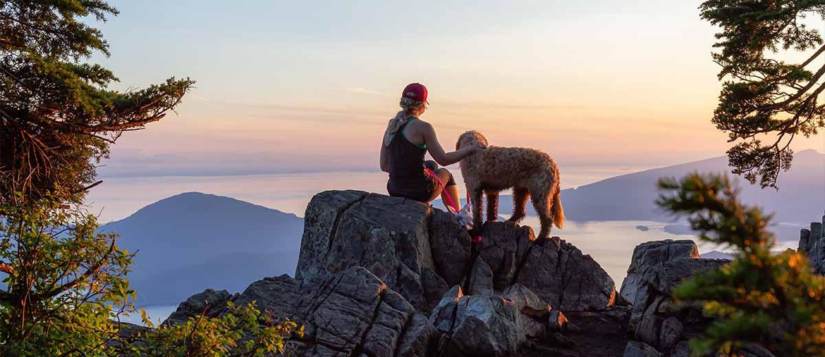 A woman from the back sitting on a rock looking out at the mountains at sunset while petting her dog, who is beside her on the rock