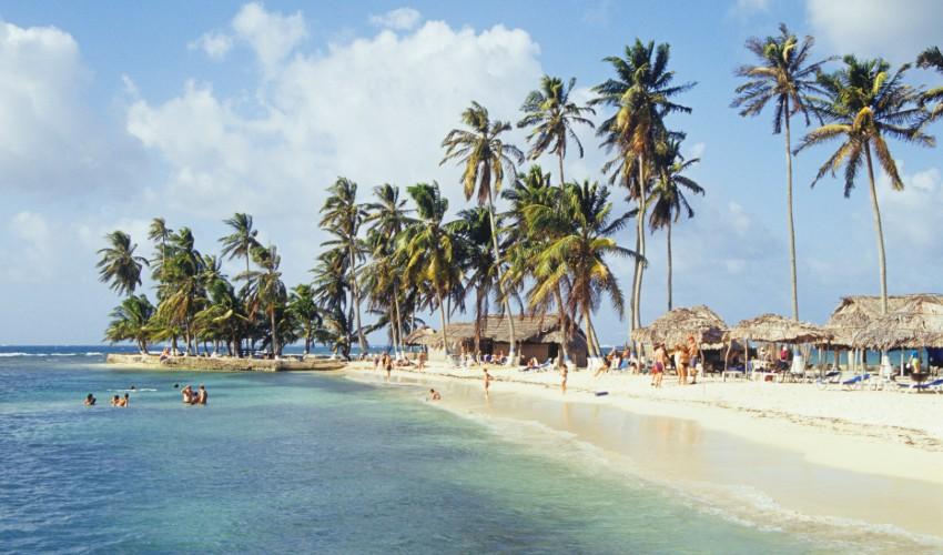 A beach with palm trees and huts.