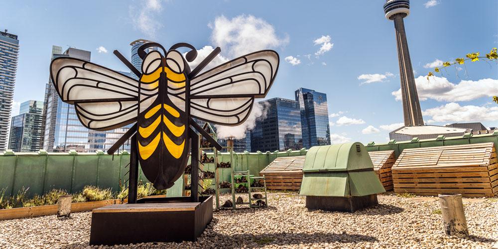 Urban bee garden installation with a large bee sculpture, beehives, and the cn tower in the background, highlighting city pollinator awareness.