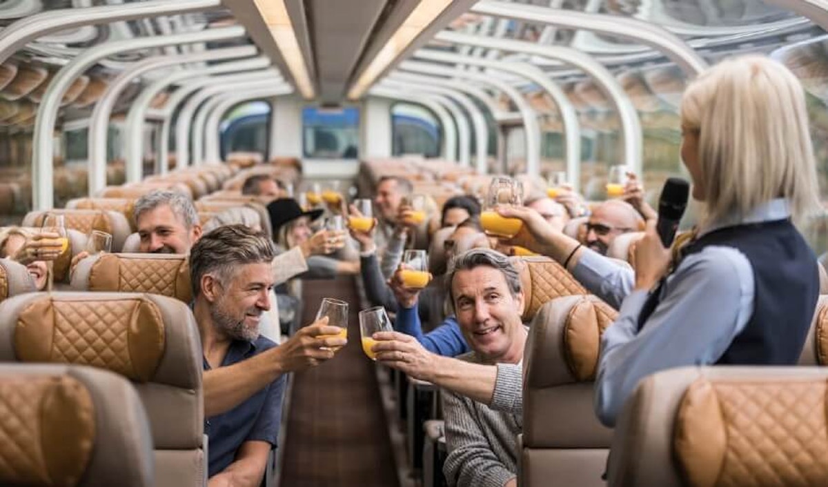 A group of people toasting on a train.