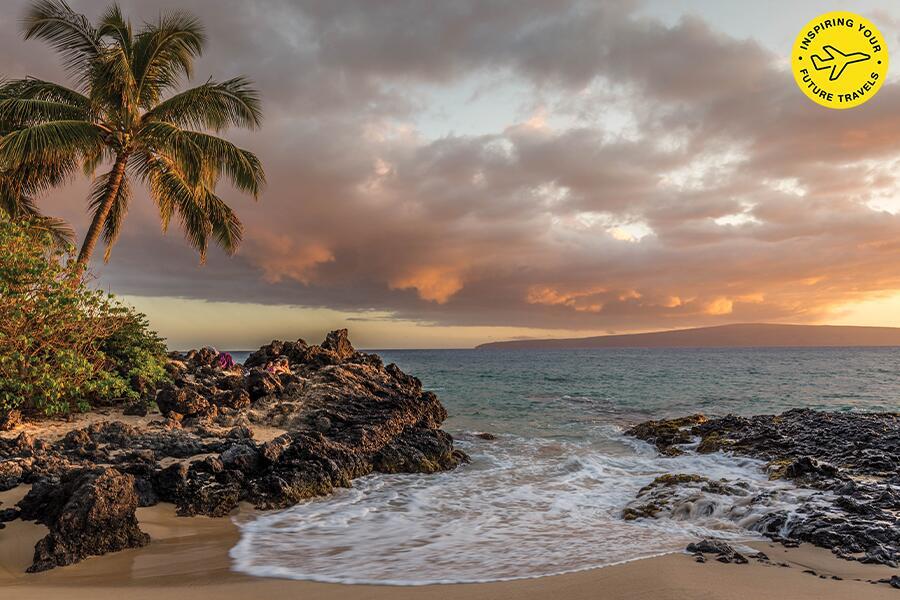 A rocky beach with palm trees and a sunset.
