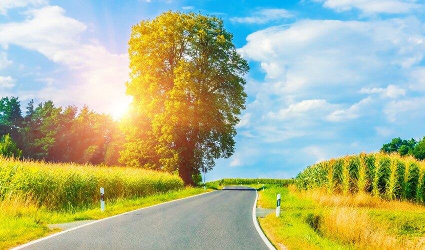 A road in the countryside with a tree in the background.