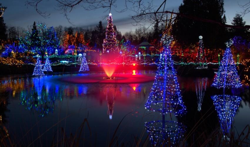 A pond surrounded by colorful lights and trees.