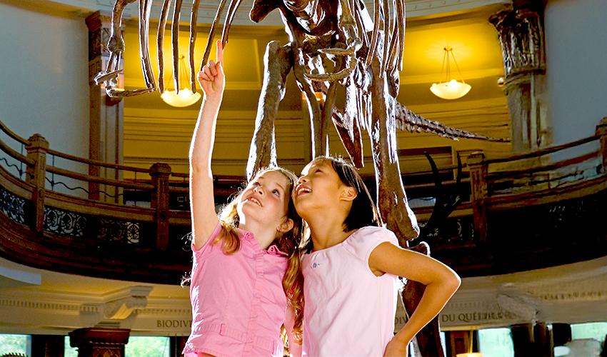 Two children in a museum standing underneath a dinosaur skeleton.