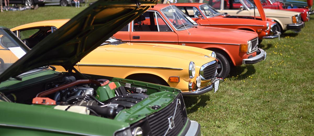 A close-up shot of a lineup of antique vehicles on a green lawn.