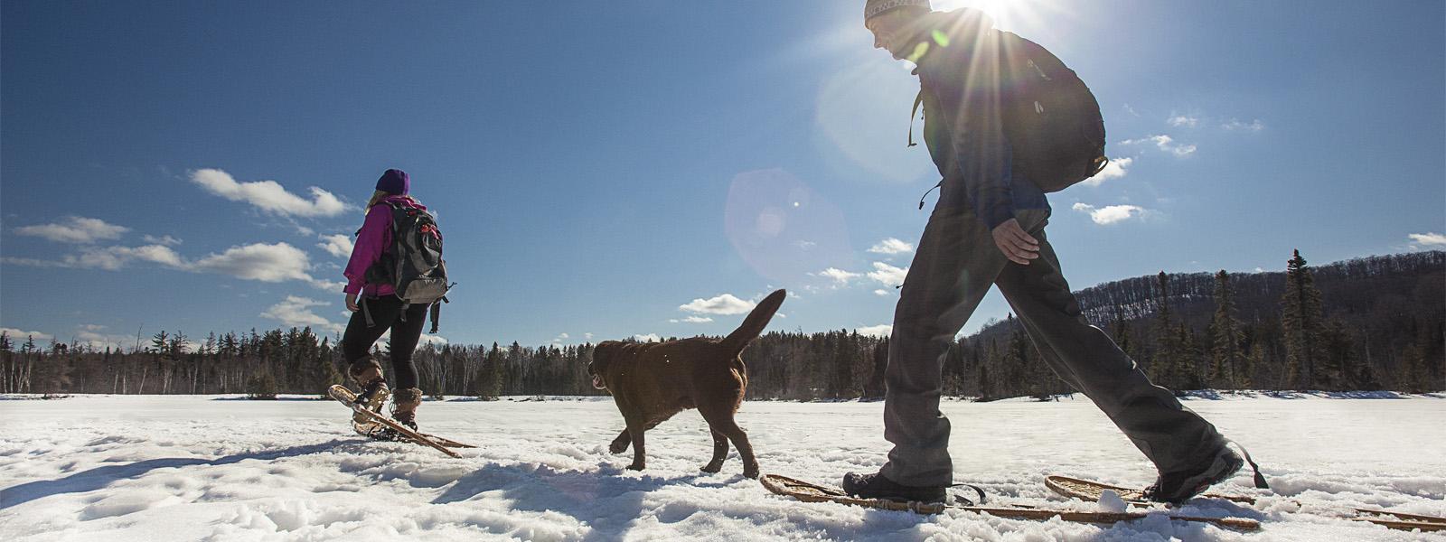 Two people wearing winter gear, backpacks and snow shoes, along with their dog, walk along a snowy path with a dense forest behind them and the sun shining brightly above.