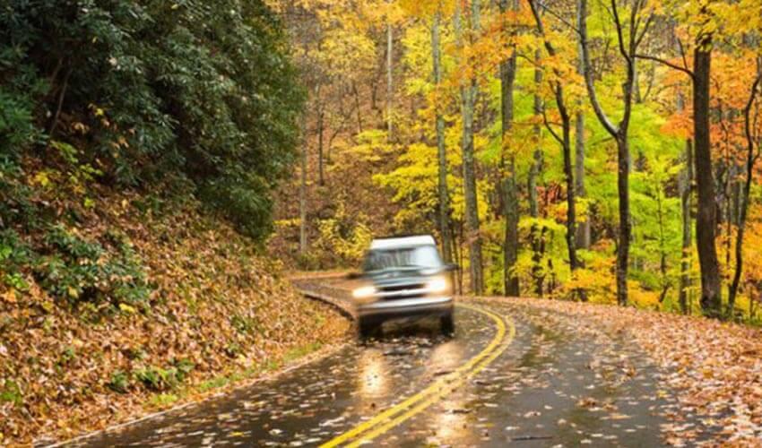 A car driving down a winding road in the woods.