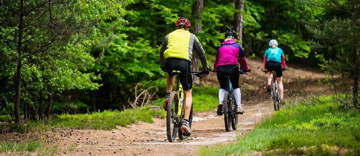 A trio of bikers, all wearing bright-coloured activewear, make their way down a dirt path in a dense forest in single file.