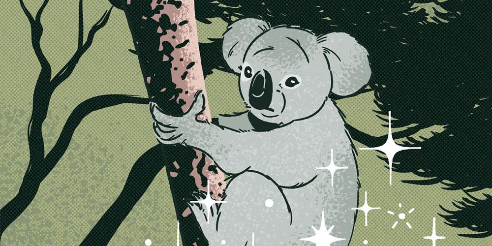 Koala clinging to a tree in a stylized illustration.