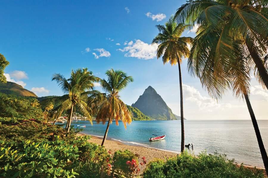 A beach with palm trees and a mountain in the background.