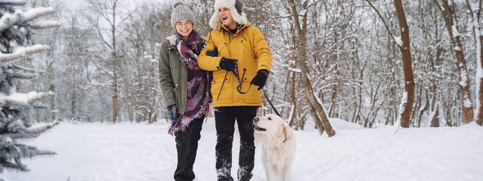 Couple walking their dog in the snow.