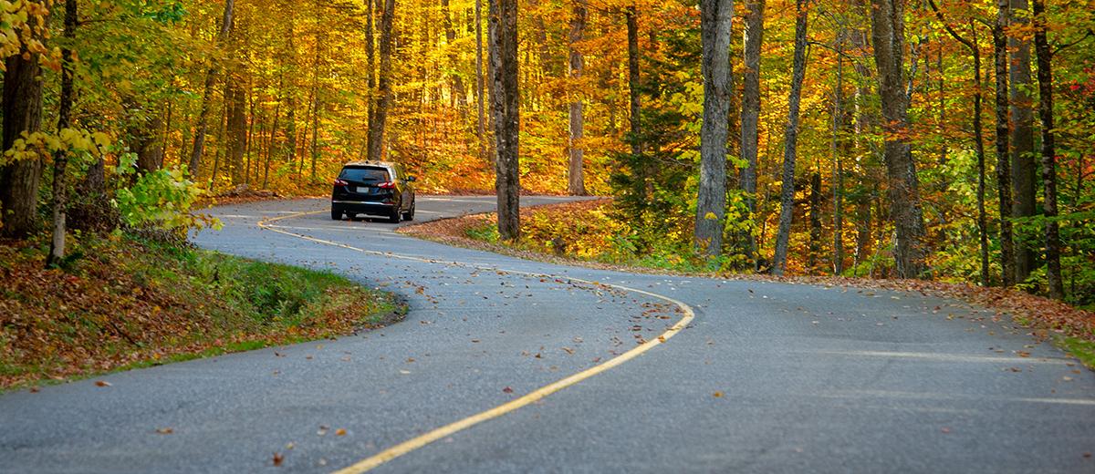 A car makes its way down a winding road through a forest; the leaves on the trees are various shades of green, orange and yellow, indicating that it is autumn.
