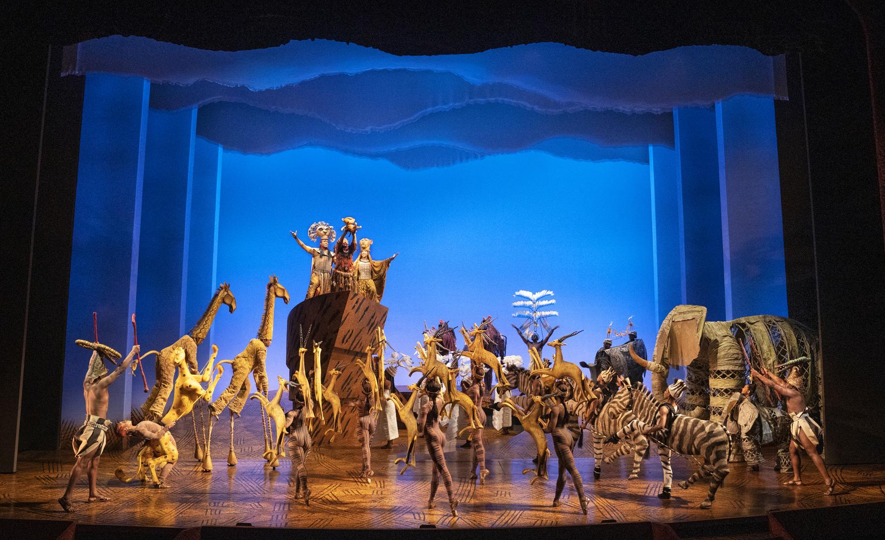 A theatre stage with a blue backdrop and dozens of characters on stage in costumes of different safari animals such as giraffes , zebras and more.