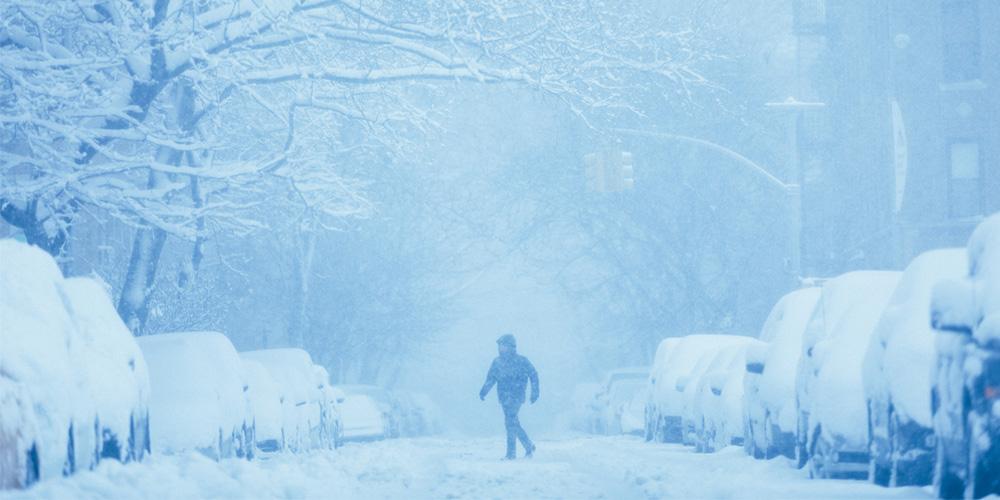 A person walks down a snow-covered street lined with cars under a canopy of trees during a heavy snowfall.